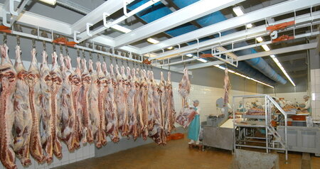 Дезинсекция на мясокомбинате в Котельниках, цены на услуги